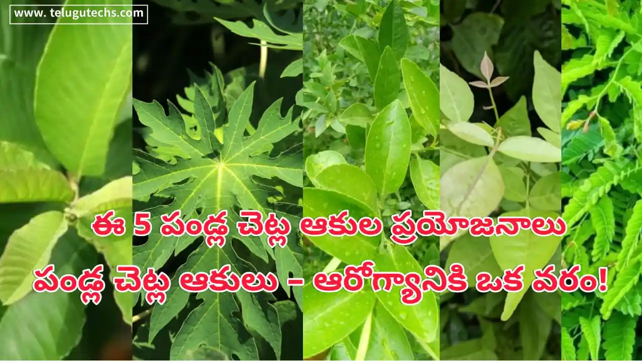 fruit tree leaves health benefits - Five fruit tree leaves: jamun, papaya, lemon, bael, tamarind – natural remedies for diabetes, dengue, digestion.