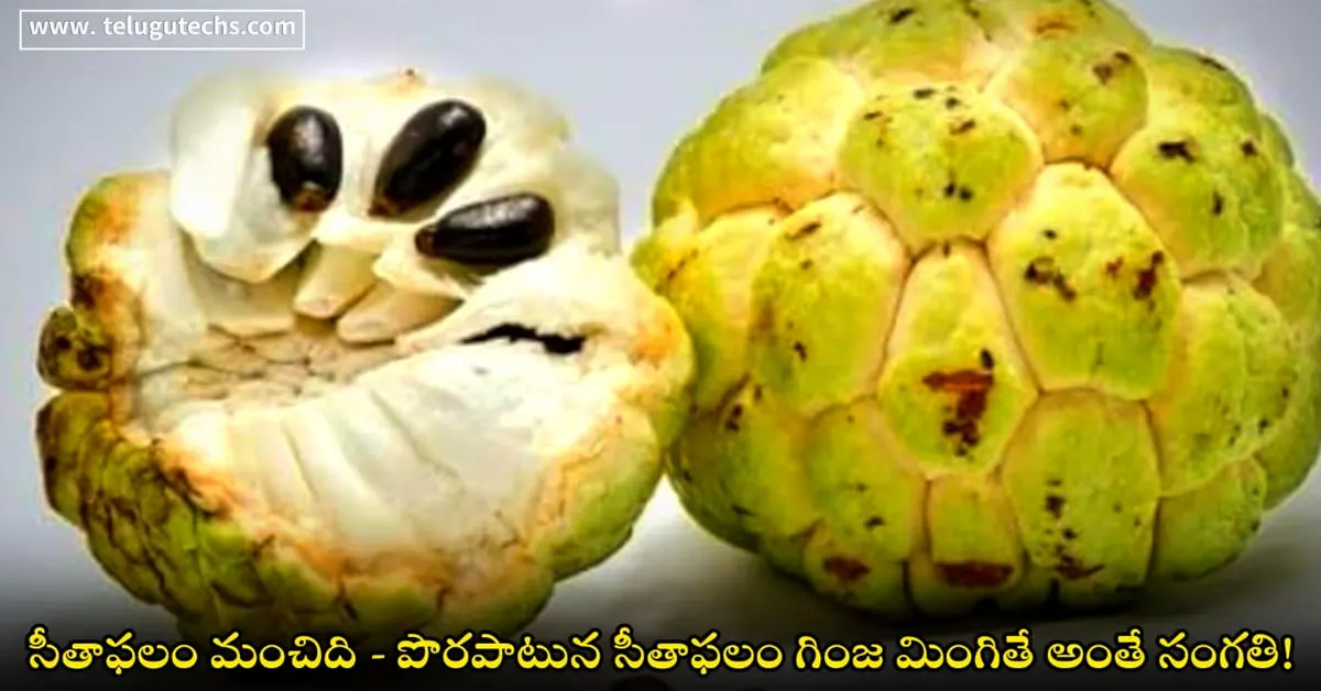 Custard apple seeds toxicity – dangers of eating sitaphal seeds, annonacin neurotoxin effects.