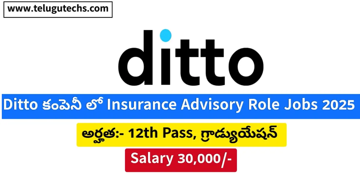 Ditto Work From Home Jobs 2025 - Apply for Insurance Advisory Role | Remote Job ₹30K