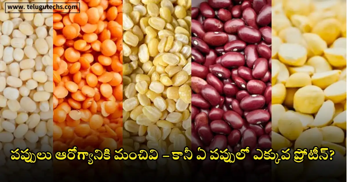 High Protein Dals For Vegetarians: moong, masoor, toor, rajma, chana – best dal for vegetarians, weight loss, immunity.