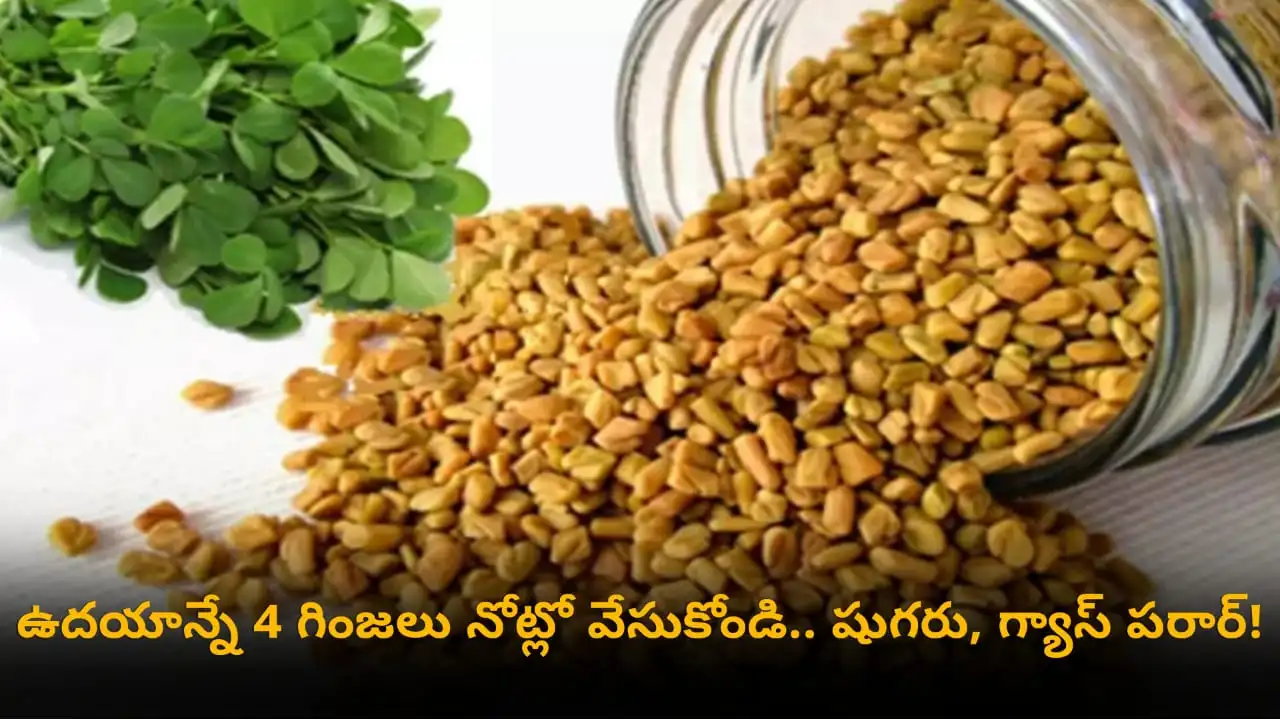 soak fenugreek seeds overnight - how 4 soaked methi seeds in morning reduce diabetes, gas, acidity and constipation in Telugu.