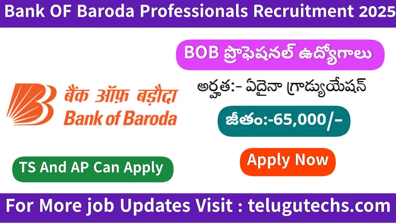 BOB Professionals Recruitment 2025 - Apply for Deputy Chief & Head Posts | Contract Basis