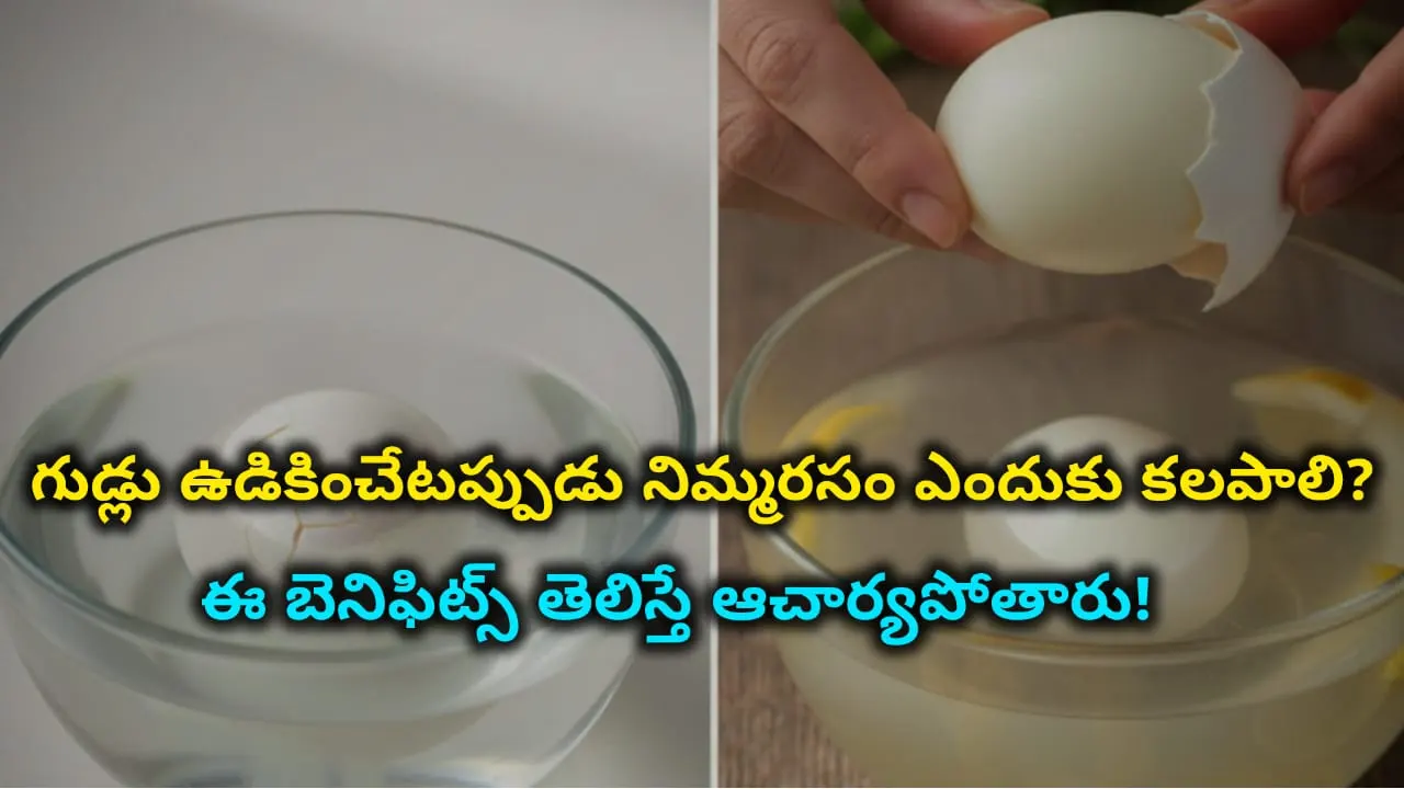 boiled eggs with lemon juice – how lemon juice prevents eggs from cracking and makes peeling easy in Telugu.