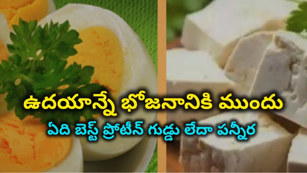 egg vs paneer protein telugu – comparison of protein, calcium, cholesterol in eggs and paneer for breakfast in Telugu.
