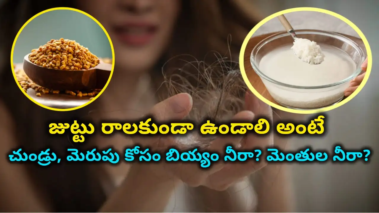 fenugreek vs rice water hair – which is better for hair fall, dandruff and shine in Telugu.