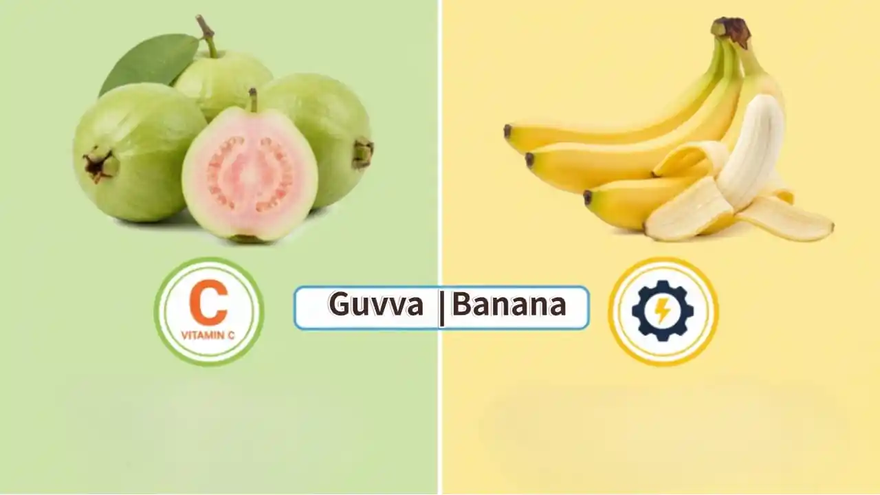 guava vs banana for breakfast – comparison of vitamin C, fiber, potassium, calories in guava and banana for morning meal in Telugu.