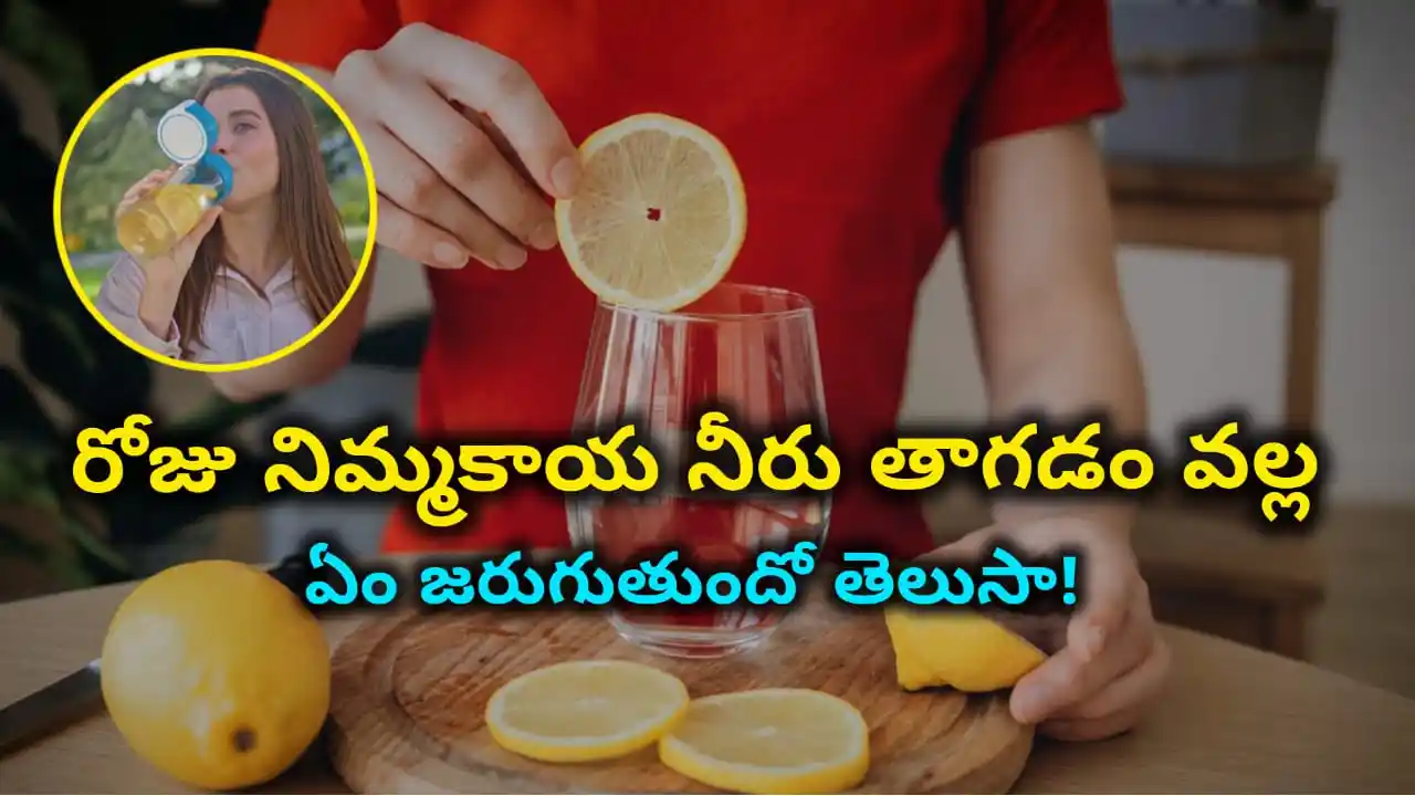 lemon water benefits telugu – how to drink lemon water safely for digestion, immunity, hydration in Telugu.