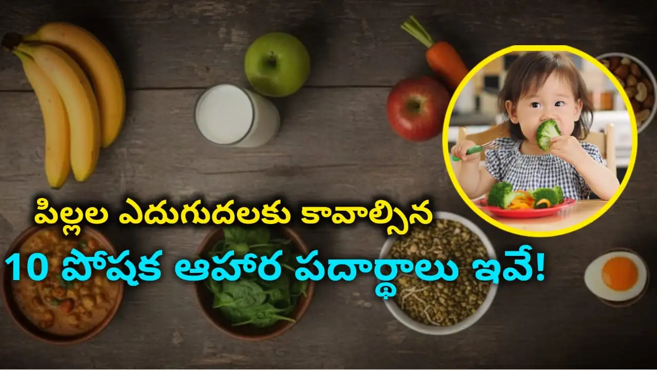 nutritious foods for children – 10 healthy foods for kids: milk, eggs, fish, beans, nuts, whole grains, leafy greens, carrots, berries, citrus in Telugu.